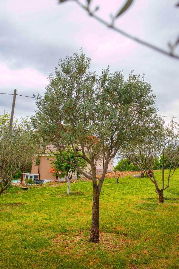 Villa Casa Di Oliva-House With Heated Pool & Jacuzzi In Trilj, Croatia Exterior foto